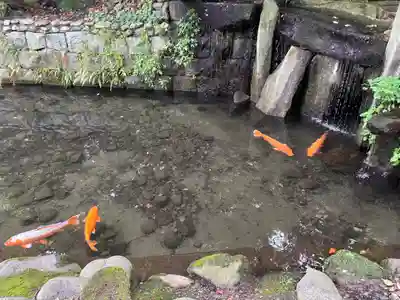 乙女稲荷神社(東京都)