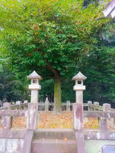 米津神社（米津町）の自然