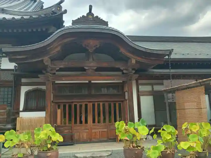 玉泉寺(東京都)