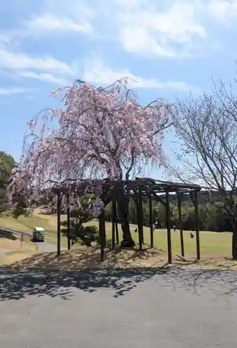 富士椿神社の庭園