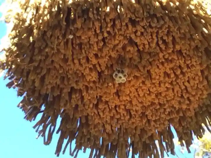 貴船神社のその他建物