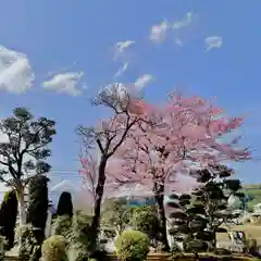 光明寺の景色