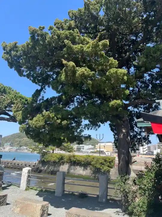 森戸大明神(森戸神社)の{uncategorized: "未分類", other: "その他", undefined: "問題あり", building: "その他建物", grave: "お墓", sacred_gate: "鳥居", guardian: "狛犬", statue: "像", buddha: "仏像", history: "歴史", nature: "自然", garden: "庭園", animal: "動物", pagoda: "塔", temizu: "手水舎", mountain_gate: "山門・神門", sanctuary: "本殿・本堂", subordinate: "末社・摂社", art: "芸術", scenery: "景色", jizo: "地蔵", ema: "絵馬", goshuin: "御朱印", omikuji: "おみくじ", items: "授与品その他", amulet: "お守り", goshuincho: "御朱印帳", eats: "食事", festival: "お祭り", votive_dance: "神楽", shichigosan: "七五三参", wedding: "結婚式", experience: "体験その他", initially: "初詣", around: "周辺", anti_infection: "感染症対策"}
