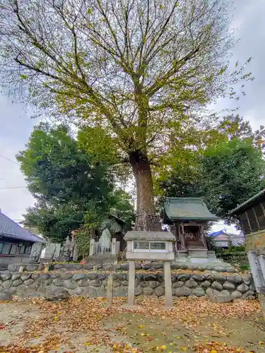 天満社（前野町）の末社・摂社