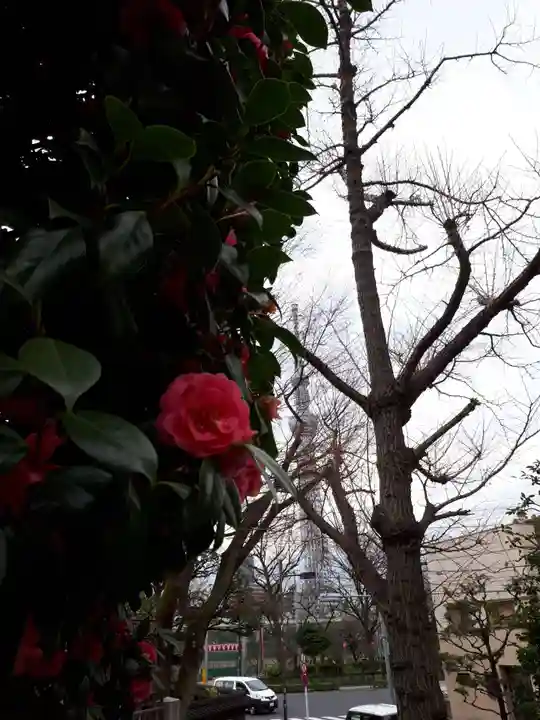 待乳山聖天(本龍院)の自然