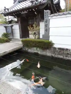 浄栄寺(滋賀県)