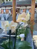 阿保神社(大阪府)