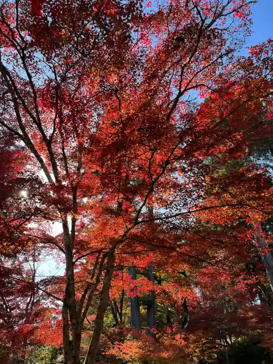 常樂寺(滋賀県)