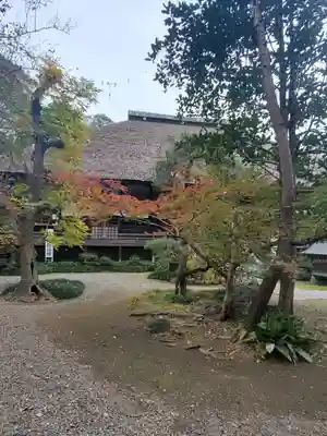 常光院の本殿・本堂