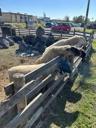 中田神社(宮城県)