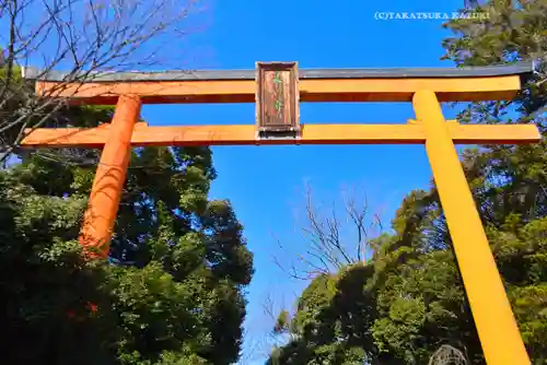 川越氷川神社(埼玉県)