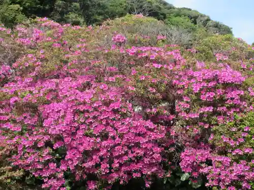 安養院　(田代寺）(神奈川県)