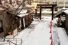 札幌祖霊神社の鳥居