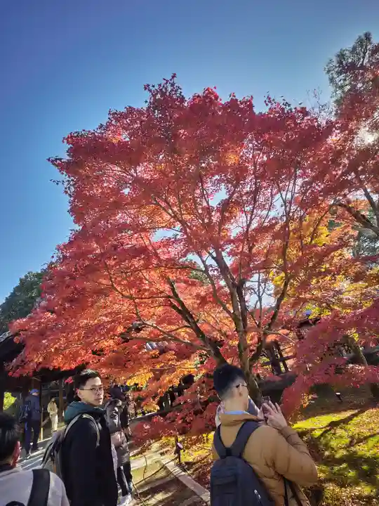 東福禅寺(東福寺)(京都府)