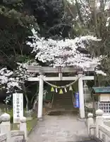 日本唯一香辛料の神 波自加彌神社の鳥居