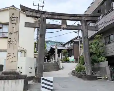 白山神社(東京都)