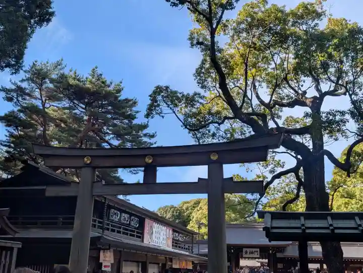 明治神宮(東京都)