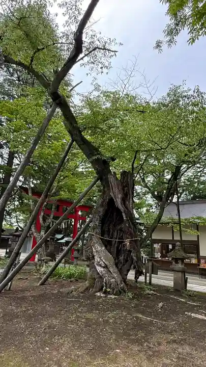 蠶養國神社(福島県)