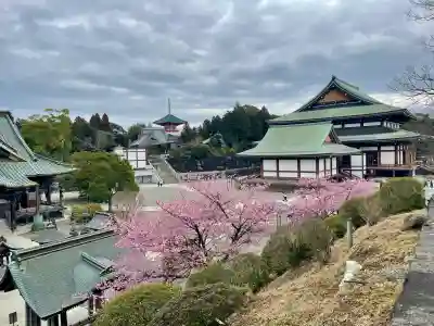 成田山新勝寺の{uncategorized: "未分類", other: "その他", undefined: "問題あり", building: "その他建物", grave: "お墓", sacred_gate: "鳥居", guardian: "狛犬", statue: "像", buddha: "仏像", history: "歴史", nature: "自然", garden: "庭園", animal: "動物", pagoda: "塔", temizu: "手水舎", mountain_gate: "山門・神門", sanctuary: "本殿・本堂", subordinate: "末社・摂社", art: "芸術", scenery: "景色", jizo: "地蔵", ema: "絵馬", goshuin: "御朱印", omikuji: "おみくじ", items: "授与品その他", amulet: "お守り", goshuincho: "御朱印帳", eats: "食事", festival: "お祭り", votive_dance: "神楽", shichigosan: "七五三参", wedding: "結婚式", experience: "体験その他", initially: "初詣", around: "周辺", anti_infection: "感染症対策"}