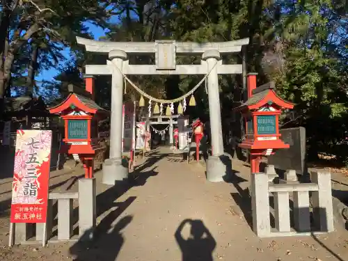 開運招福 飯玉神社(群馬県)