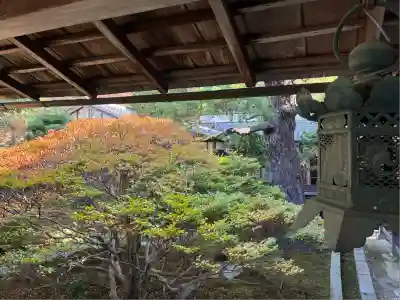 大心院(京都府)