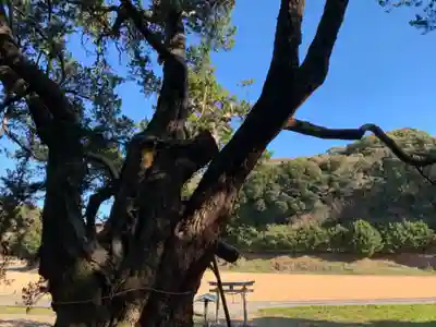 十二天神社の自然
