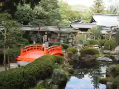 大井神社の自然