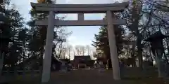 鷹栖神社の鳥居