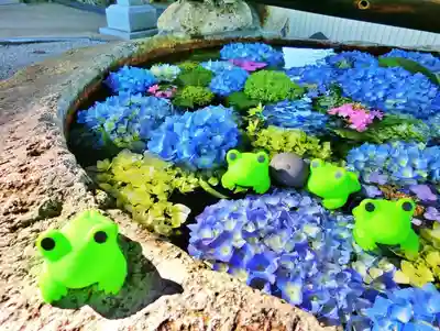 立志神社の手水舎