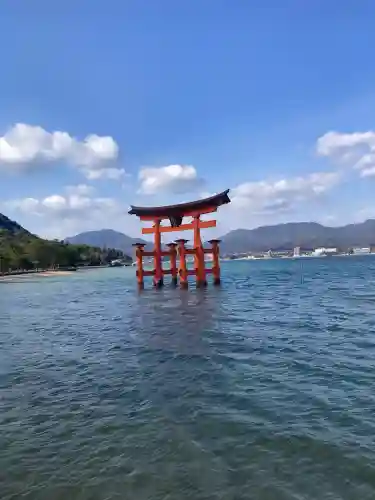 厳島神社の{uncategorized: "未分類", other: "その他", undefined: "問題あり", building: "その他建物", grave: "お墓", sacred_gate: "鳥居", guardian: "狛犬", statue: "像", buddha: "仏像", history: "歴史", nature: "自然", garden: "庭園", animal: "動物", pagoda: "塔", temizu: "手水舎", mountain_gate: "山門・神門", sanctuary: "本殿・本堂", subordinate: "末社・摂社", art: "芸術", scenery: "景色", jizo: "地蔵", ema: "絵馬", goshuin: "御朱印", omikuji: "おみくじ", items: "授与品その他", amulet: "お守り", goshuincho: "御朱印帳", eats: "食事", festival: "お祭り", votive_dance: "神楽", shichigosan: "七五三参", wedding: "結婚式", experience: "体験その他", initially: "初詣", around: "周辺", anti_infection: "感染症対策"}