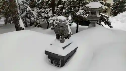 琴似神社の狛犬