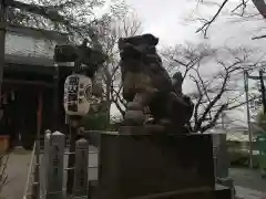 星川杉山神社の狛犬