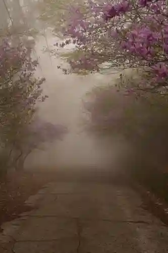 三峯神社(埼玉県)