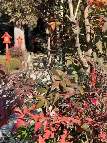 小藤神社(栃木県)