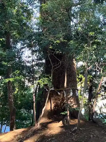 氷川女體神社(埼玉県)