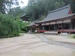 長命寺の建物その他