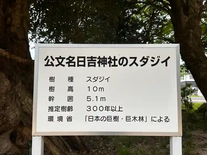 日吉神社(福井県)