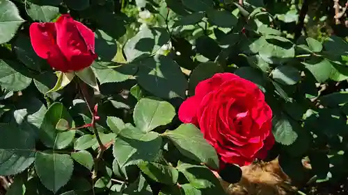 江島神社(神奈川県)