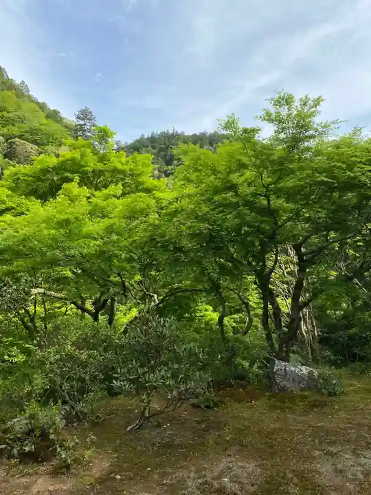 高山寺の自然