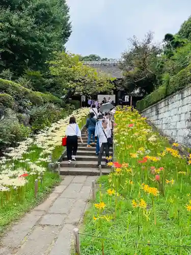 横浜　西方寺(神奈川県)