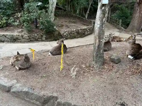 大聖院(広島県)