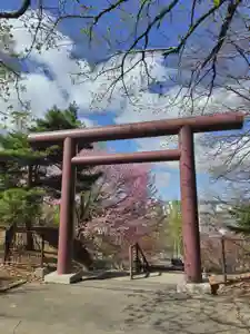 厚別神社の鳥居(2024年05月01日(水) 09時41分44秒投稿)