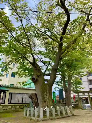 阿邪訶根神社(福島県)