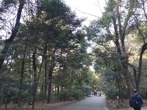 明治神宮(東京都)