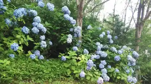 清水寺の自然