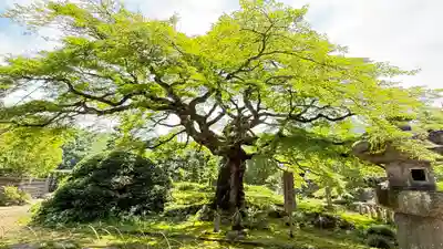 西善寺(埼玉県)