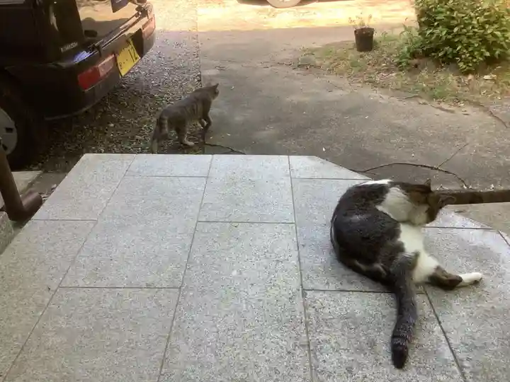 玉野御嶽神社の動物