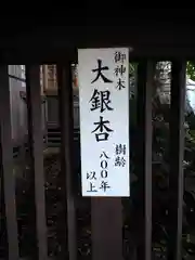 麻賀多神社の建物その他