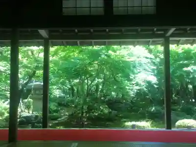 圓光寺(京都府)