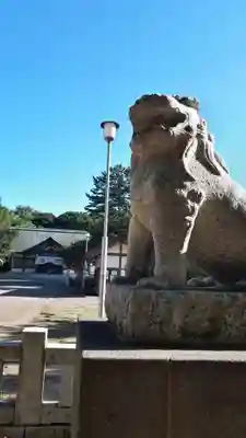 岩内神社の狛犬